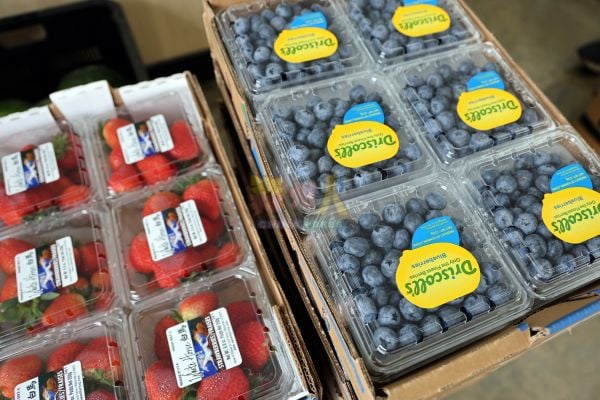 “SST 税务改革与食品价格上涨”