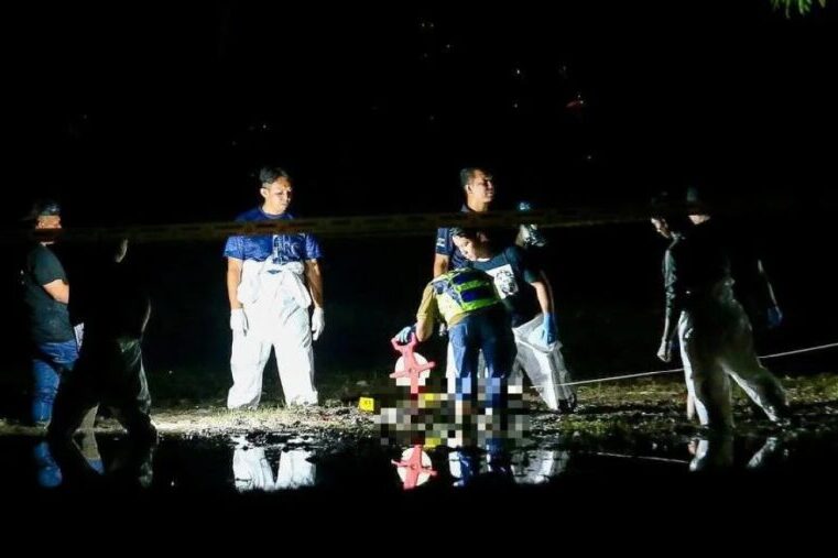 吉打巴冷刀砍死姐夫案