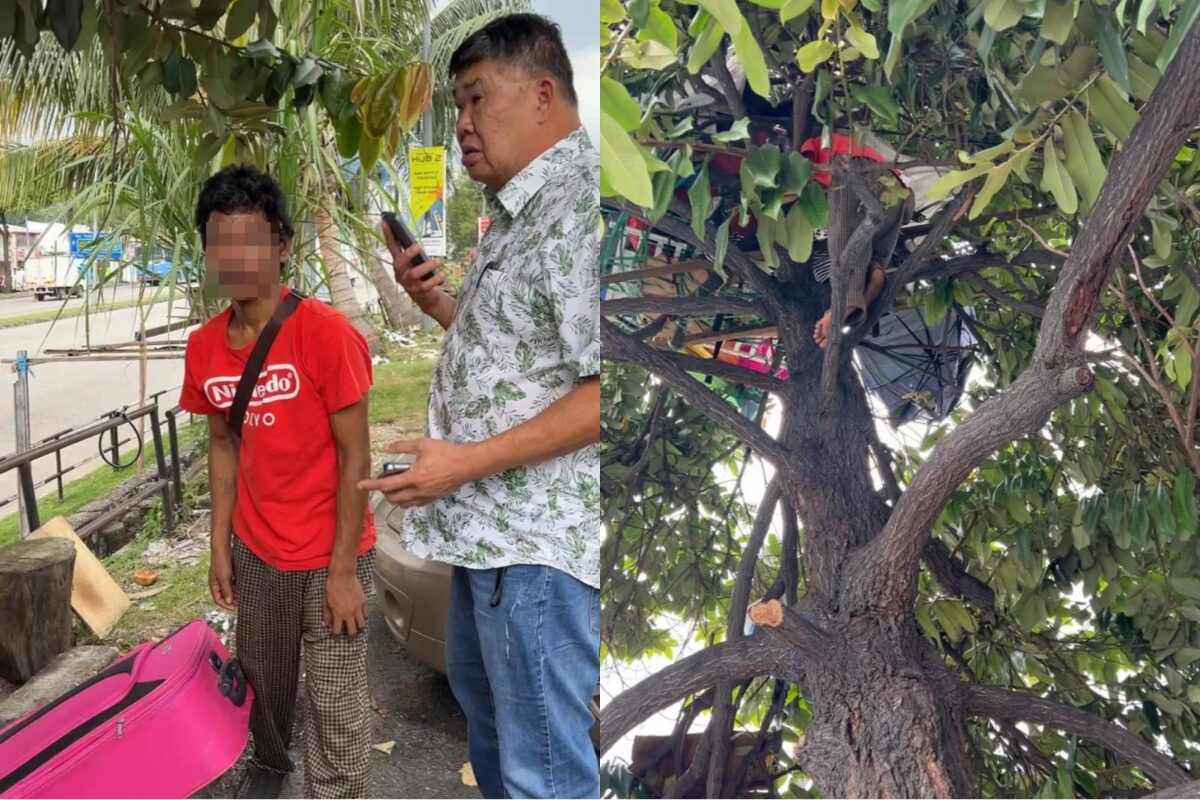 吉隆坡一男子因财务困境无力支付房租 选择长期居住于树上